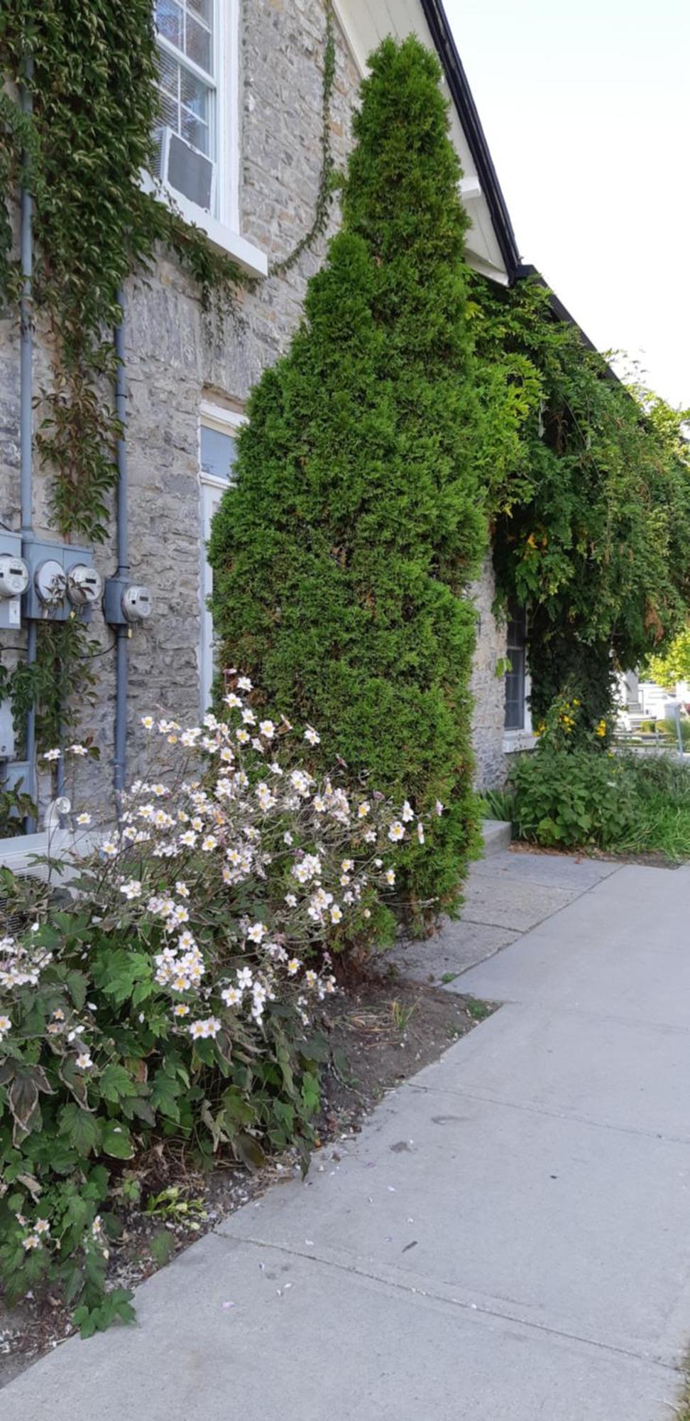 Stone Carriage House Villa Picton Exterior photo